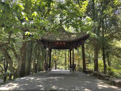 -刘伯温故里景区百丈漈
