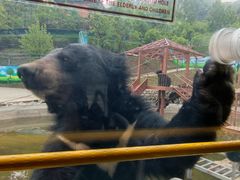 -栾川竹海野生动物园