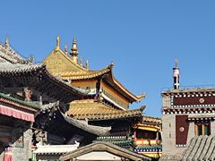 -塔尔寺