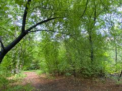 -长春市南湖公园