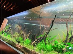 -渔寿司·日本料理(艾尚天地店)