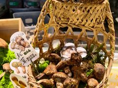 -菌自由丨野生菌火锅特色庭院餐厅(丽江古城店)