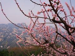 -北京凤凰岭
