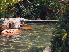 -广州锦绣香江度假别墅