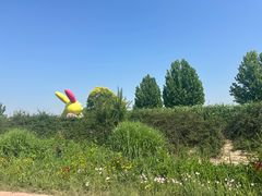 -圣露庄园·亲子活动乐园·露营·团建婚礼