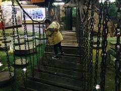 -上海大自然野生昆虫馆(东方明珠·爬宠昆虫探索中心)