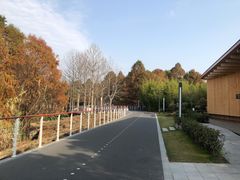 -上海山野camping·户外天幕烧烤·团建拓展营地