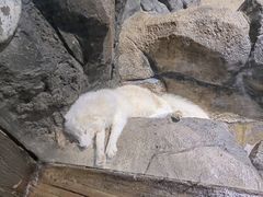 -郑州海洋馆