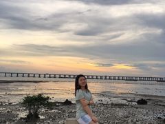 -宝安西湾红树林湿地公园