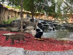 -北京野生动物园