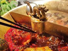 -小龙翻大江文化火锅(宽窄店)