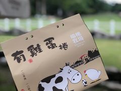 -瑞穗牧场