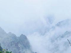 -牛背梁国家森林公园