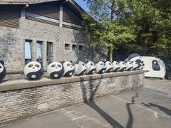-都江堰中华大熊猫苑