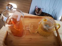 -猫腻·猫咖·撸猫馆(星光大道店)