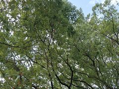 -共青国家森林公园-售票处