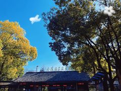 -西溪国家湿地公园