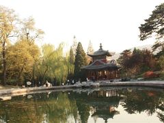 -北京植物园-展览温室