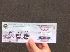 -都江堰中华大熊猫苑