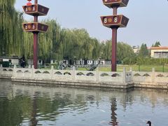 -百花洲
