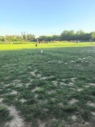 -268童话露营农场·烧烤·团建