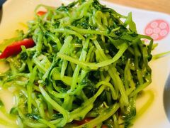 凉拌豆苗-老班长手工灌汤包老店(东山店)