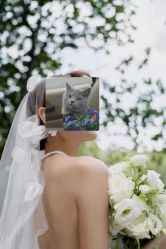 -花漾摄影优选工作室(东莞原创作品店)