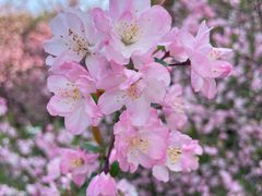 -蜀冈西峰生态公园