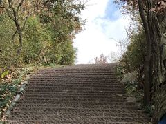 -杭州半山国家森林公园