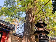 -青岛崂山太清宫