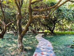 -荔香公园