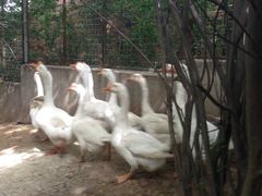 -西安秦岭野生动物园