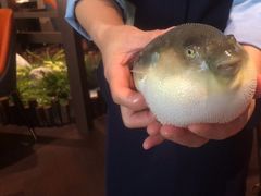 -肆月河豚·淮扬菜·湘菜(华天店)