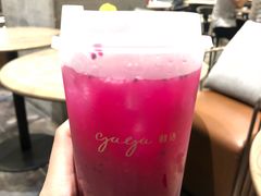 -gaga(深圳南山益田假日广场店)