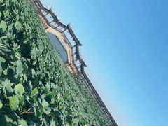 -锦溪古镇