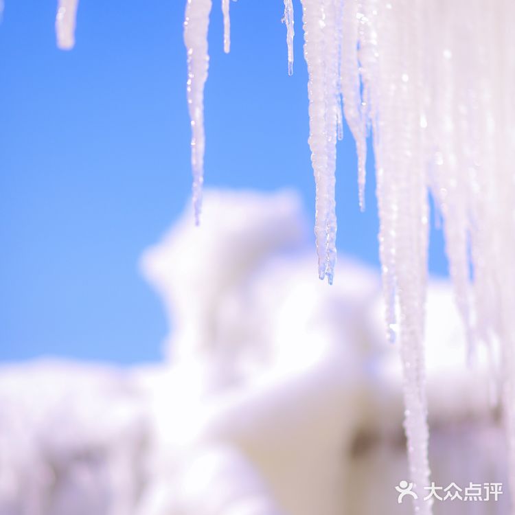 在无锡也能拍到冰天雪地啦～无锡探店黄杨居冰凌世界