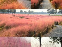 -汉长安城未央宫国家考古遗址公园