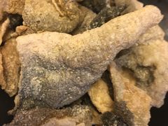 酥炸鱼皮-宝哥火锅味馆