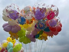 -三圣花乡旅游区