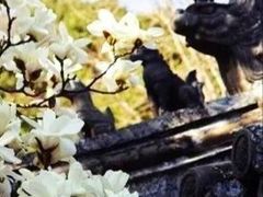 -潭柘寺景区