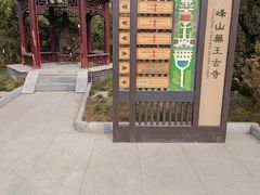-天津市峰山药王古寺