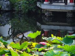 -杭州西湖柳莺里酒店