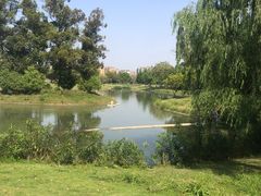 -两河城市森林公园