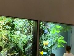 -漫·汤泉