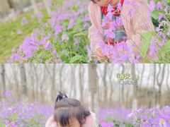 -白塘生态植物园