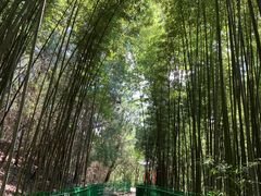 -四门塔风景区