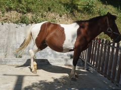 -泉州海丝野生动物世界