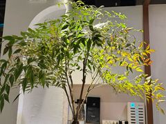 -Erman岩烧牛排(虹桥南丰城店)
