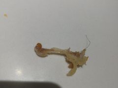 -卤校长重庆火锅(国兴店)