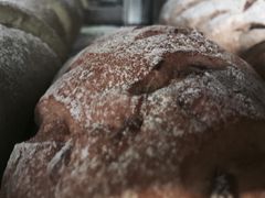-Juicy Bakery(大学路店)